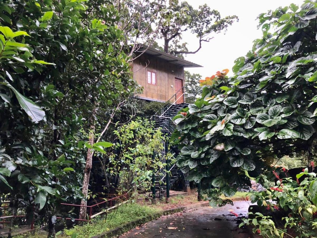 Nutmeg Valley 이두키 외부 사진