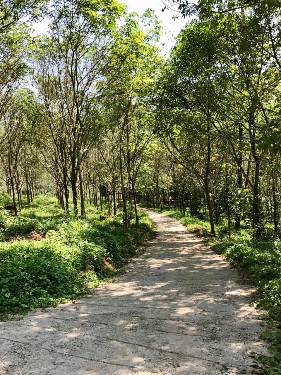 Nutmeg Valley 이두키 외부 사진